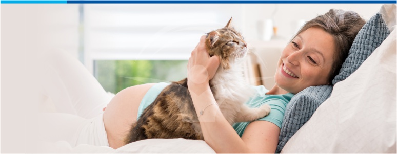 simptome de prostatită de pisică cauzele prostatitei cum să trateze