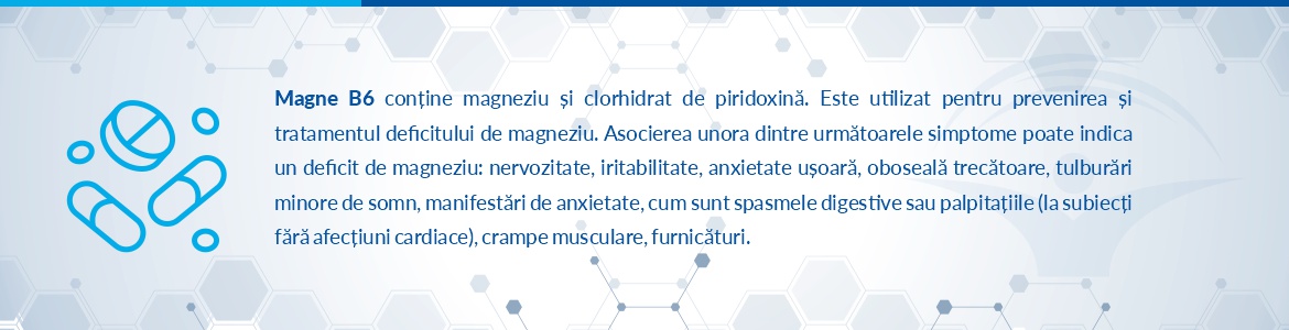 Magne B6