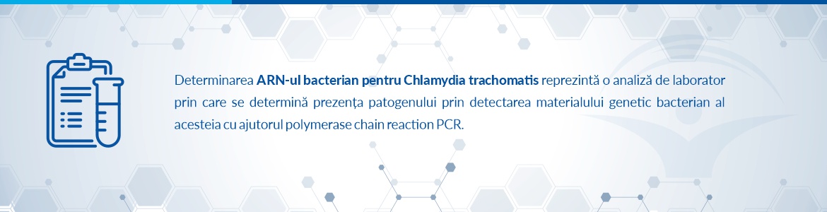 ARN Chlamydia trachomatis