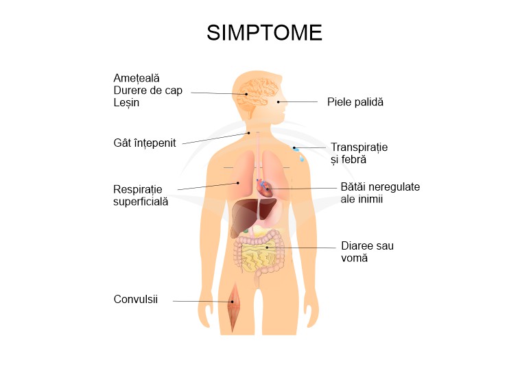 simptome de prostatită transpirație