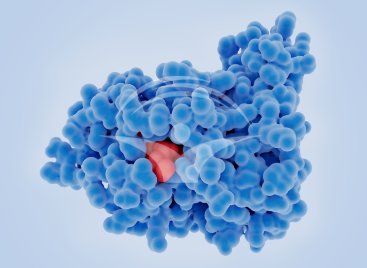 Neoplazie maligna &ndash; ce este si din ce cauze apare?