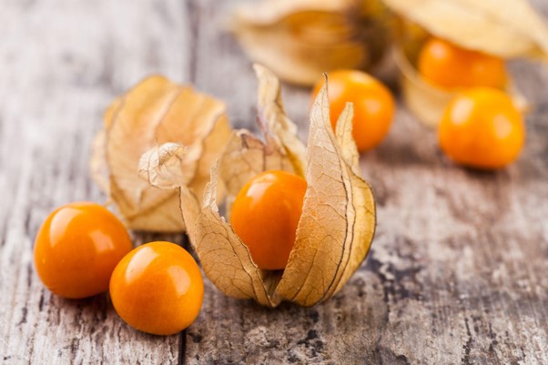 Physalis: Beneficii si Proprietati Remarcabile
