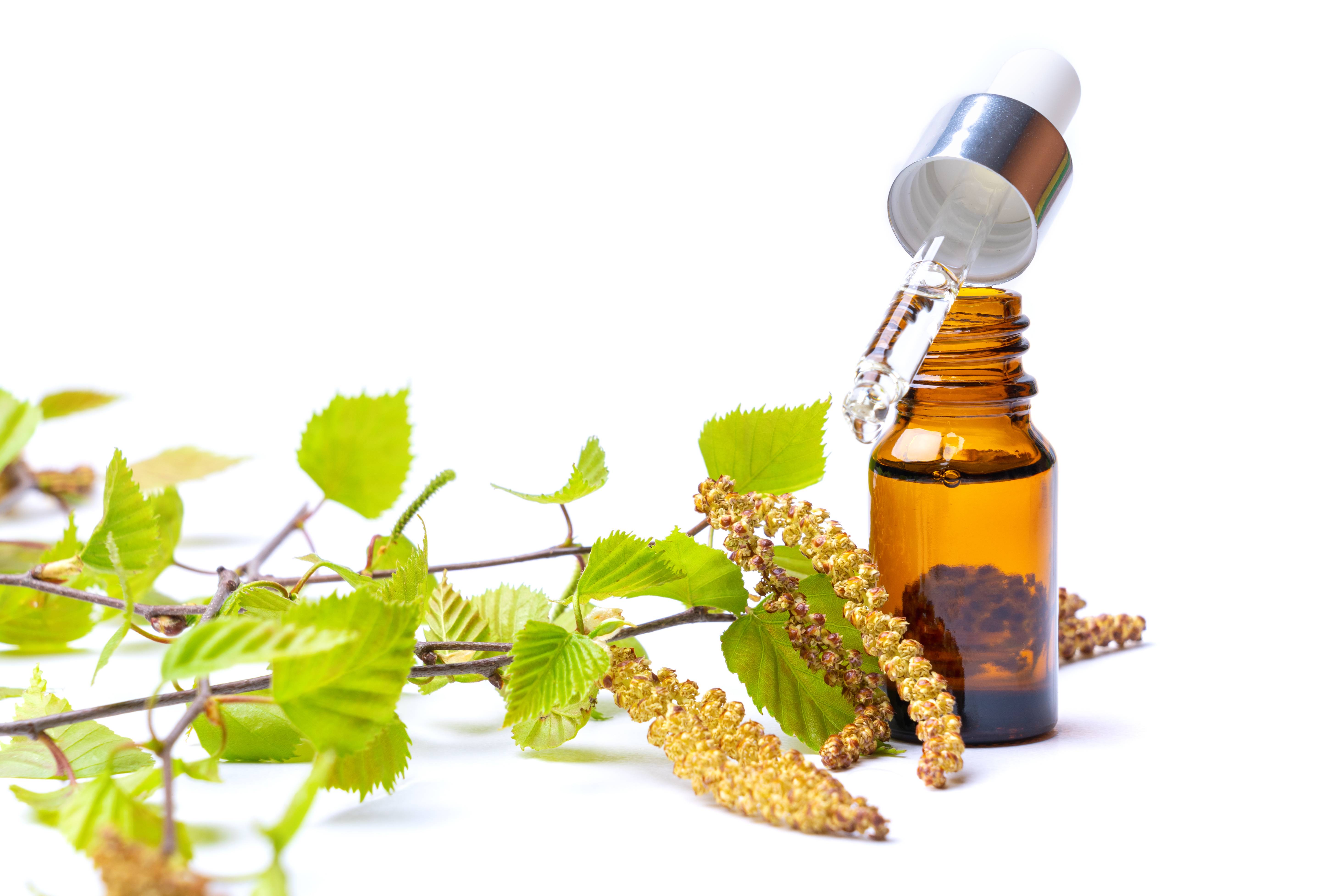 Ulei de mesteacan: Beneficii si proprietati pentru sanatate