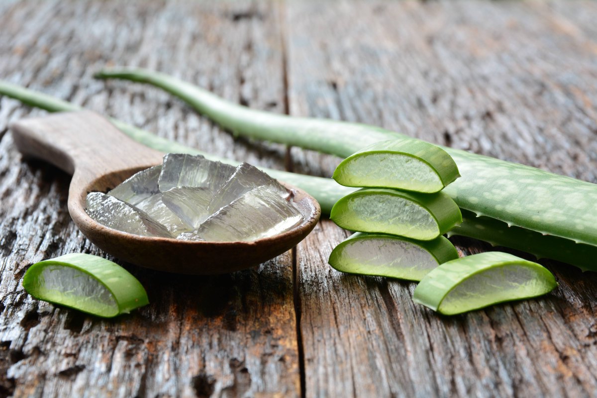 Aloe Vera: Beneficii, proprietati si moduri de consum