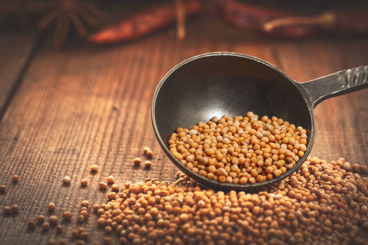 Boabe de mustar: Beneficii si proprietati nutritive