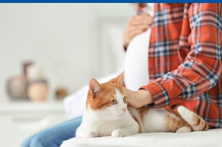 Toxoplasmoza simptome, diagnostic si tratament