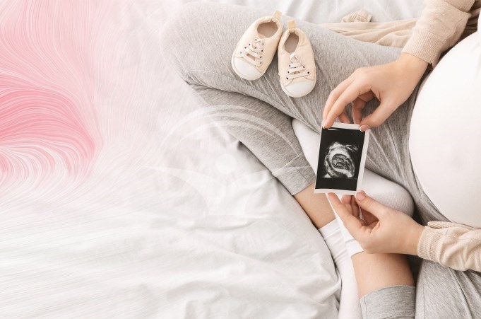 Morfologie trimestrul II