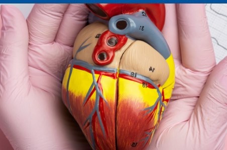 Totul despre boala cardiovasculara aterosclerotica si metodele de evaluare