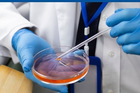 Salmonella: simptome si tratament salmoneloza la copii si adulti