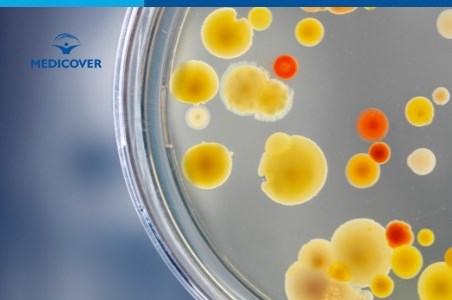 Bartonella henselae - Bacteria care provoaca boala ghearelor de pisica
