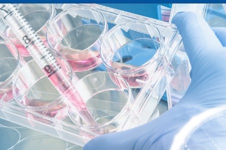 Homeostazia: proces indispensabil functionarii organismului