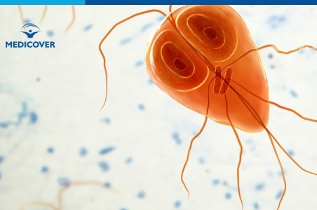 Infectia cu Giardia lamblia: simptome si tratament