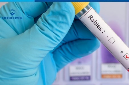 Rabie: cum se transmite la om si care sunt simptomele?