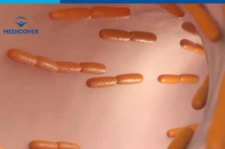 Lactobacillus: sanatatea digestiva si sistemul imunitar