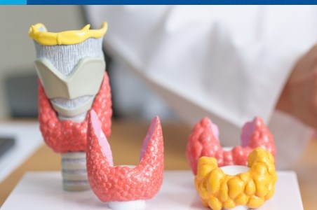 Hipotiroidismul: de la simptome la complicatii