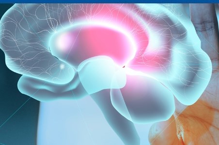 Glanda pineala: functii si influenta asupra sanatatii