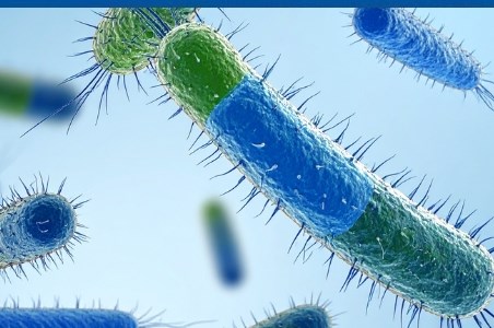 Legioneloza: despre infectia cu bacteria Legionella
